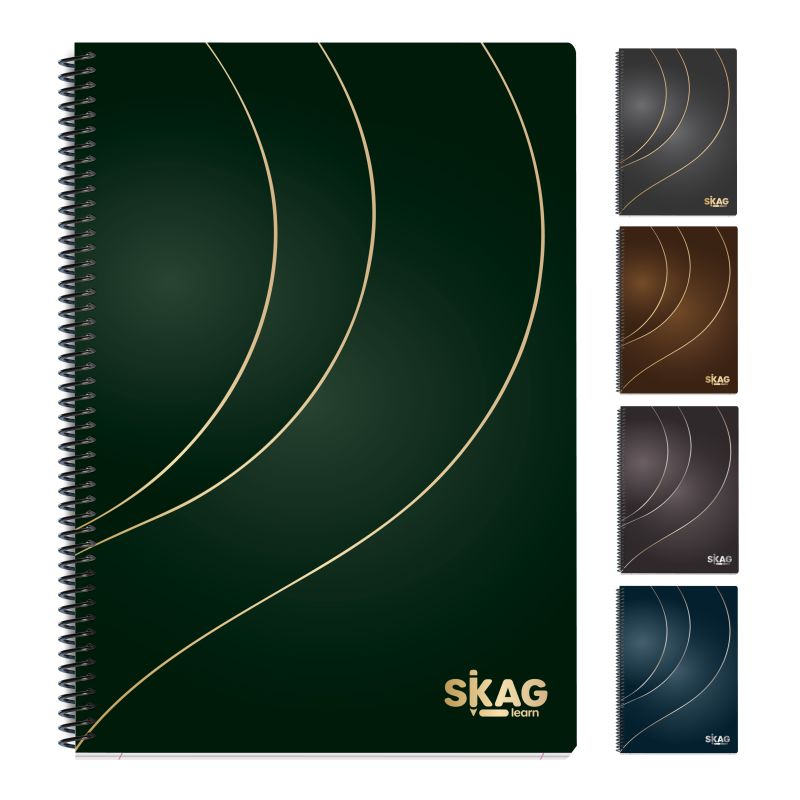 SKAG Θεμ.Τετ. Gold & Silver Α4 2Θεμ 60Φ  80γρ Ν. 9352