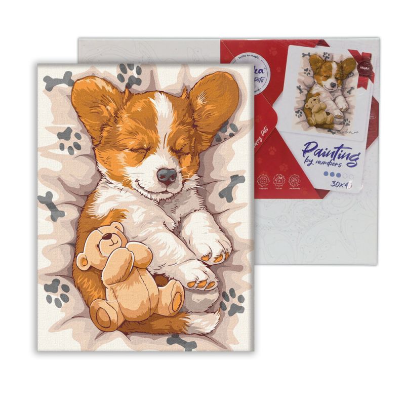 IDEYKA Painting By No.-Νυσταγμένο Corgi Art_Selena_Ua (KHO6617)30Χ40cm