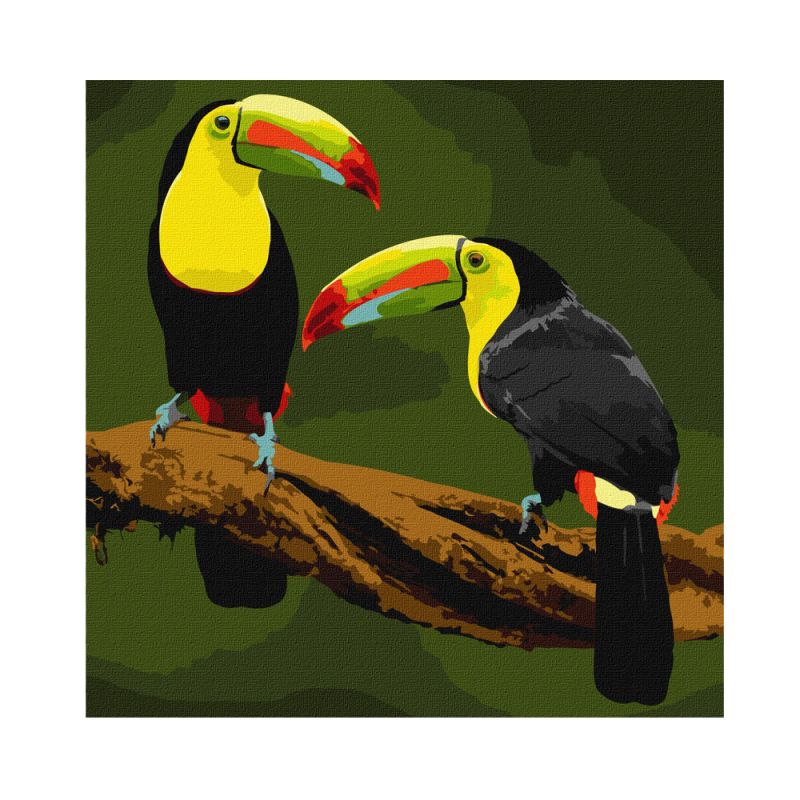 IDEYKA Painting By No.- Εξωτικά Πτηνά (KHO4337) 40X40cm