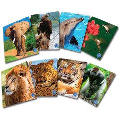 PORTFOLIOS EL.BAND "ANIMALS"AR 25X35@