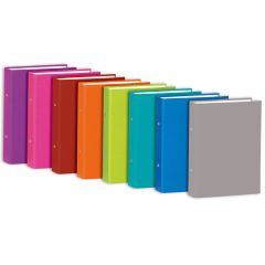 SKAG RING BINDER PLASTIC A4 2-25R MIXED FANCY COLOURS