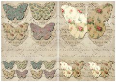 ΡΙΖΟΧΑΡΤΟ A3 - ΠΕΤΑΛΟΥΔΕΣ Ν.6