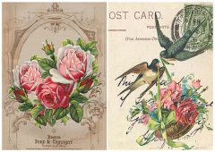 ΡΙΖΟΧΑΡΤΟ A3 - ΧΕΛΙΔΟΝΙΑ/ΛΟΥΛΟΥΔΙΑ Ν.10