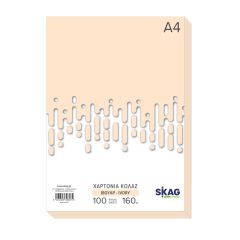 ZAZOO CARTONS A4 160GR 100SH. IVORY N17